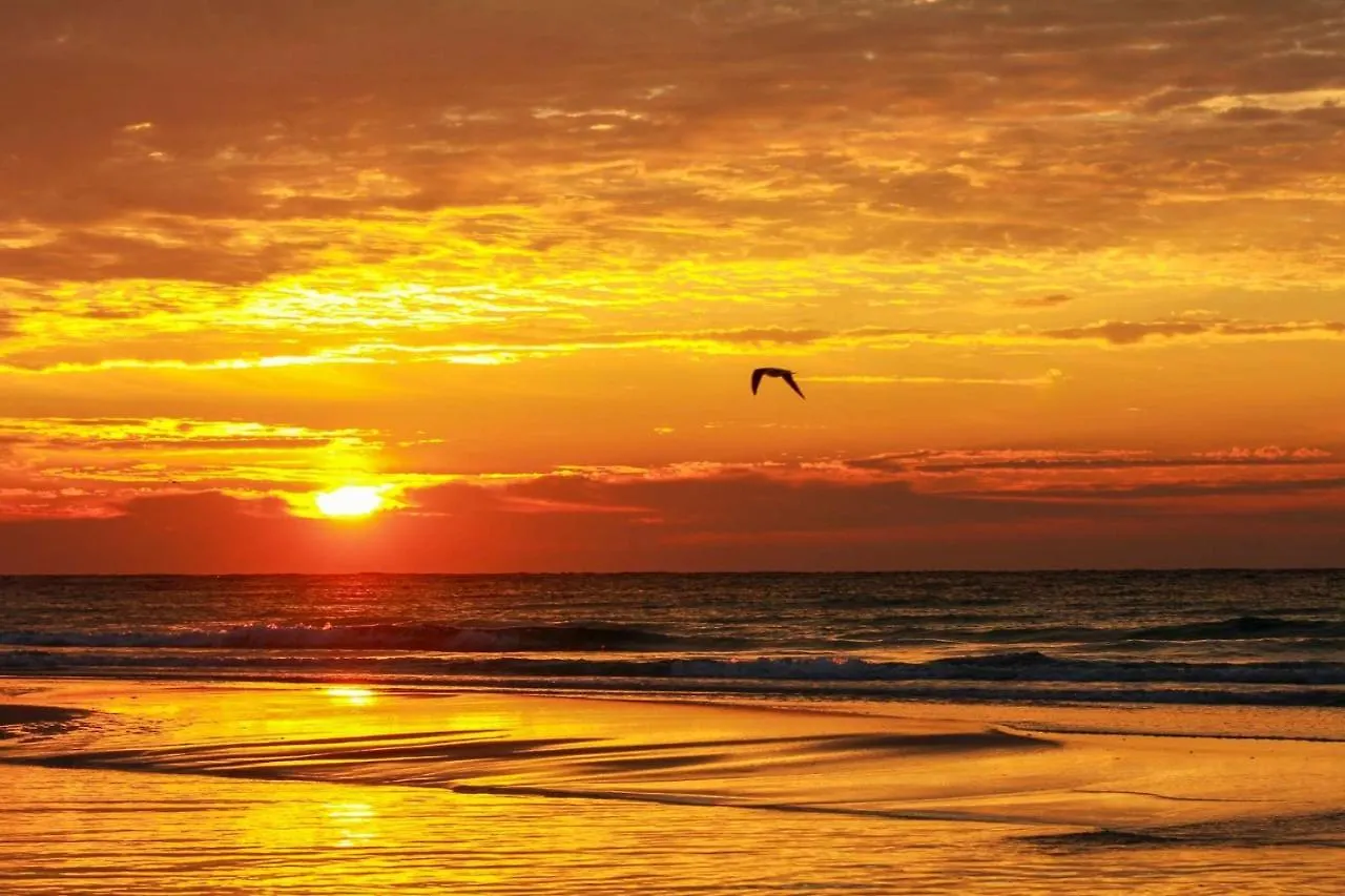 Shores Of Panama Resort Panama City Beach